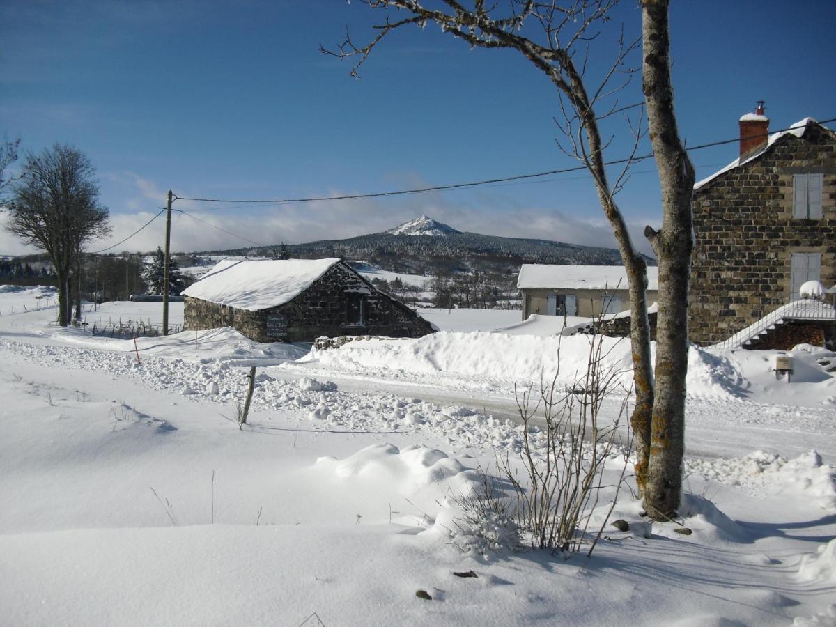 La Ferme De Madelonnet Bed and Breakfast Saint-Jeures Εξωτερικό φωτογραφία